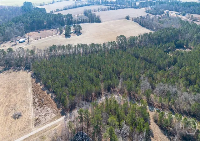 Homes for sale in Statesboro, GA | 0 Clifton Rd- Lot 1, Statesboro, GA 30458 | MLS# SA348773