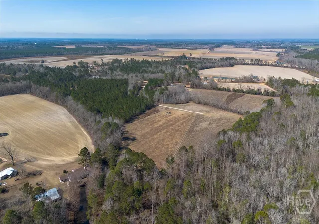 Homes for sale in Statesboro, GA | 0 Clifton Rd- Lot 1, Statesboro, GA 30458 | MLS# SA348773
