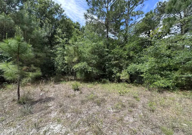 Homes for sale in Southport, NC | 4781 Longview Dr Se, Southport, NC 28461 | MLS# 100573758
