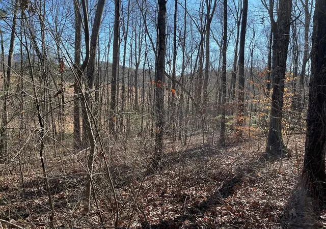 Photo 1 of Land for sale at Lot #12e The Woodlands, Hayesville, NC 28904 | MLS# 98543698 | Listing updated on 2026-07-21