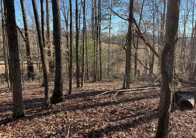 Photo 2 of Land for sale at Lot #12e The Woodlands, Hayesville, NC 28904 | MLS# 98543698 | Listing updated on 2026-07-21