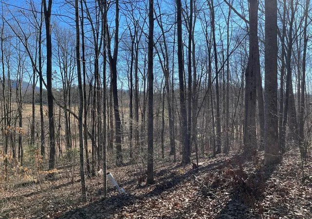 Photo 3 of Land for sale at Lot #12E The Woodlands, Hayesville, NC 28904 | MLS# 98543698 | Listing updated on 2026-07-21