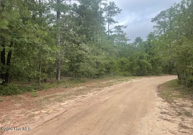 Photo 1 of Land for sale at 300 Gardenia Ln, White Oak, NC 28399 | MLS# 100597086 | Listing updated on 2026-08-18