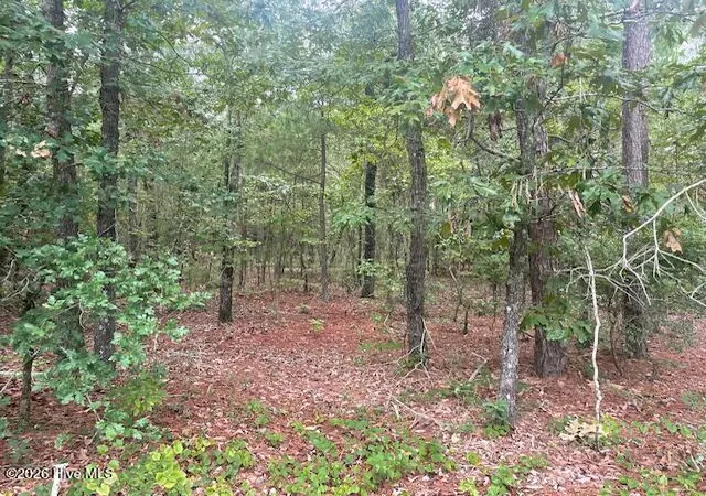 Photo 2 of Land for sale at 300 Gardenia Ln, White Oak, NC 28399 | MLS# 100597086 | Listing updated on 2026-08-18