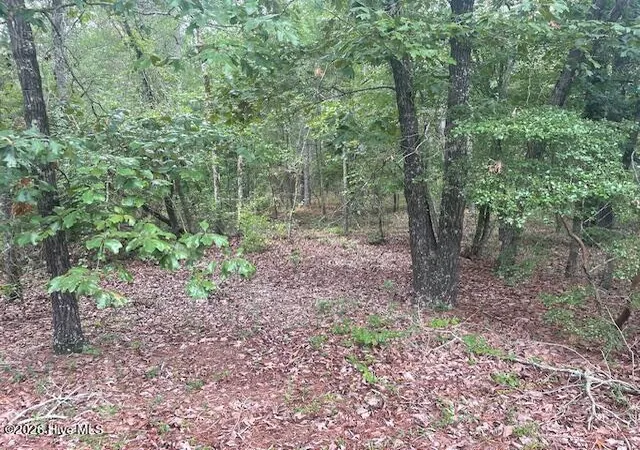 Photo 3 of Land for sale at 300 Gardenia Ln, White Oak, NC 28399 | MLS# 100597086 | Listing updated on 2026-08-18