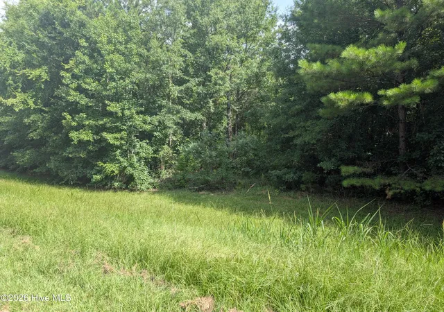 Photo 3 of Land for sale at 1406 Dunwoody Pl, Appling, GA 30802 | MLS# 100590667 | Listing updated on 2026-08-18