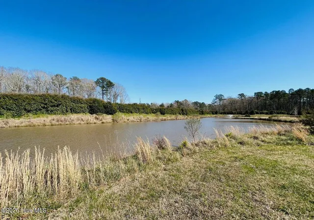 Photo 4 of Land for sale at 35 Palomino Ct, Hertford, NC 27944 | MLS# 100489278 | Listing updated on 2026-03-01