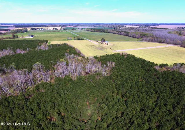 Photo 4 of Land for sale at 5 Camp Perry Rd, Hertford, NC 27944 | MLS# 100563936 | Listing updated on 2026-04-09