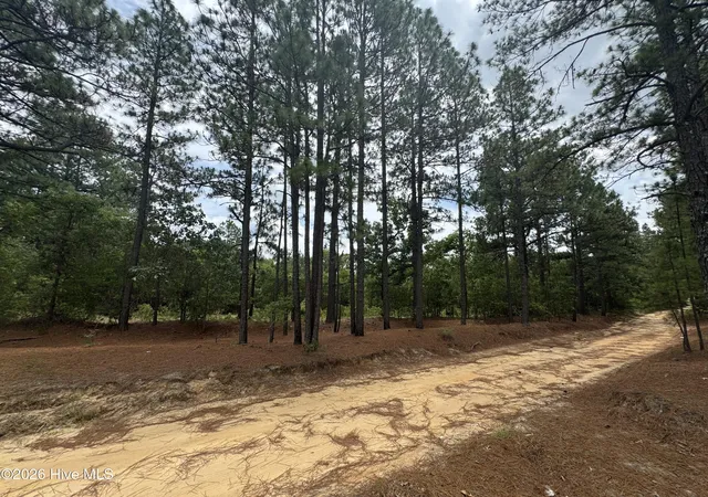 Photo 1 of Land for sale at 000 Lizzie Jeter Ln, Cameron, NC 28326 | MLS# 100588755 | Listing updated on 2026-08-25