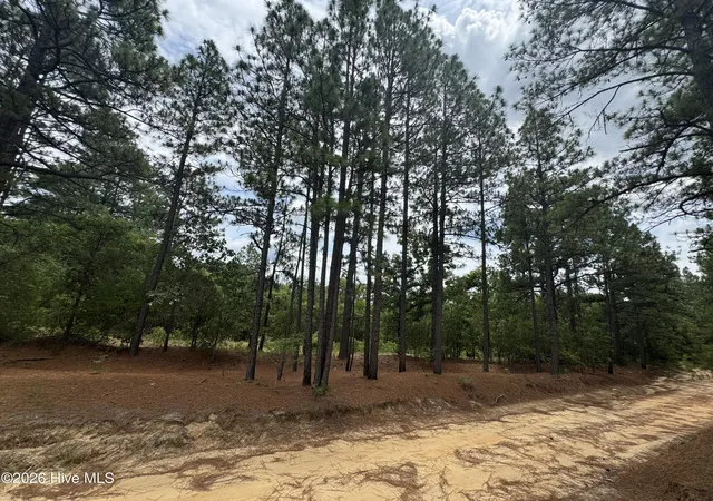Photo 2 of Land for sale at 000 Lizzie Jeter Ln, Cameron, NC 28326 | MLS# 100588755 | Listing updated on 2026-08-25