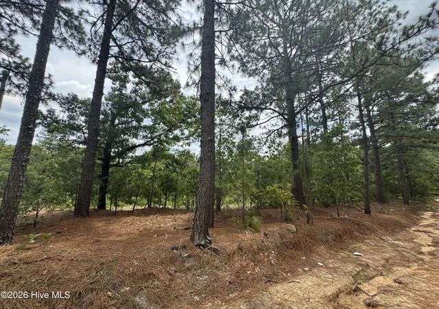 Photo 3 of Land for sale at 000 Lizzie Jeter Ln, Cameron, NC 28326 | MLS# 100588755 | Listing updated on 2026-08-25