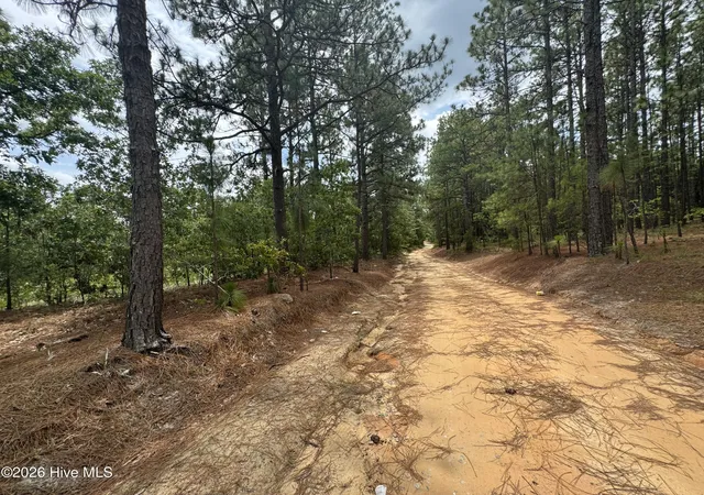 Photo 5 of Land for sale at 000 Lizzie Jeter Ln, Cameron, NC 28326 | MLS# 100588755 | Listing updated on 2026-08-25