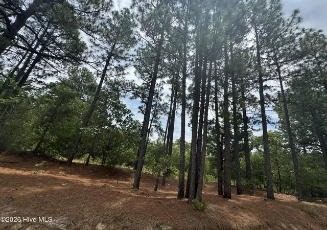 Photo 8 of Land for sale at 000 Lizzie Jeter Ln, Cameron, NC 28326 | MLS# 100588755 | Listing updated on 2026-08-25