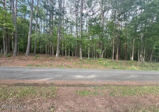1st image of Lot 4 Tn 68, Turtletown, TN 37391 | MLS# 100588047