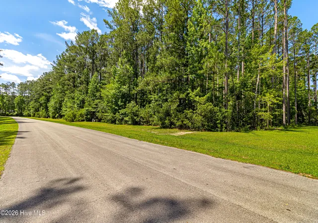 4th image of 311 Antebellum Dr, Havelock, NC 28532 | MLS# 100580498