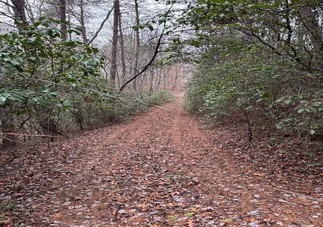 Photo 1 of Land for sale at 289 Paradise, Murphy, NC 28906 | MLS# 98544633 | Listing updated on 2026-07-31