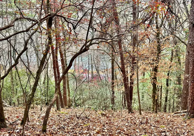 Photo 2 of Land for sale at 289 Paradise, Murphy, NC 28906 | MLS# 98544633 | Listing updated on 2026-07-31