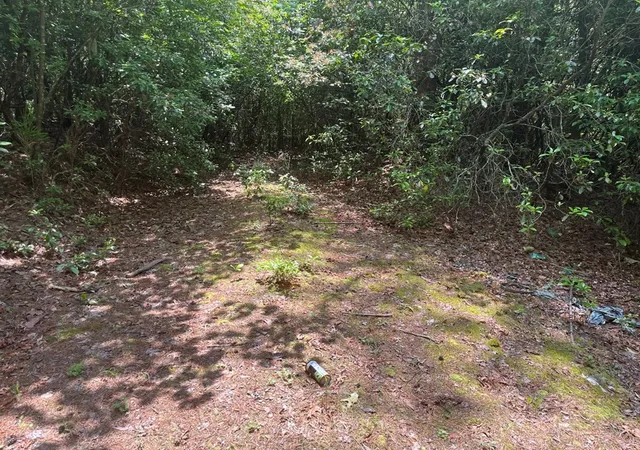 Photo 3 of Land for sale at 289 Paradise, Murphy, NC 28906 | MLS# 98544633 | Listing updated on 2026-07-31