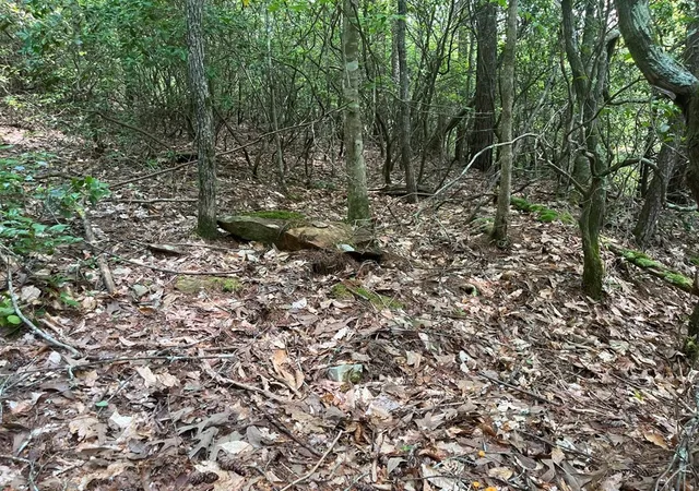 Photo 3 of Land for sale at 289 Paradise, Murphy, NC 28906 | MLS# 98544633 | Listing updated on 2026-07-31