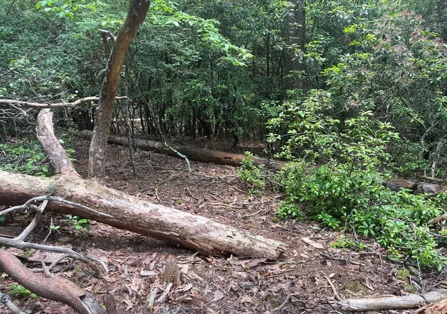 Photo 4 of Land for sale at 289 Paradise, Murphy, NC 28906 | MLS# 98544633 | Listing updated on 2026-07-31