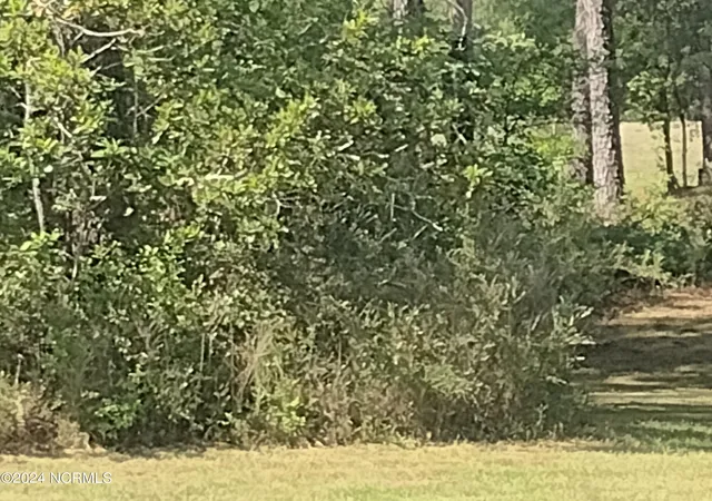 Photo 2 of Land for sale at 1731 Caracara Dr, New Bern, NC 28560 | MLS# 100564516 | Listing updated on 2026-07-31