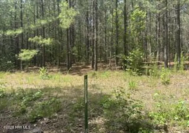 Photo 2 of Land for sale at Tbd Boling Way, Carthage, NC 28327 | MLS# 100587833 | Listing updated on 2026-08-18