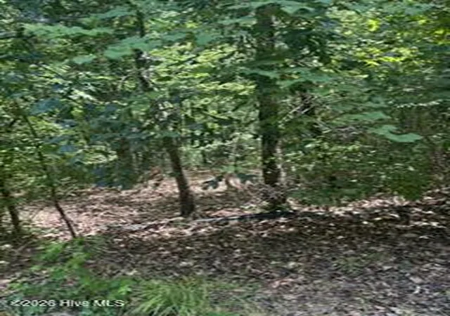 Photo 3 of Land for sale at Tbd Boling Way, Carthage, NC 28327 | MLS# 100587833 | Listing updated on 2026-08-18