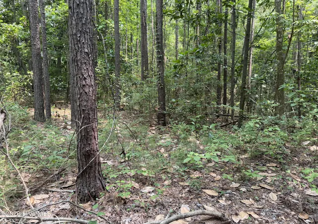 Photo 2 of Land for sale at 1199 Green Springs Rd, New Bern, NC 28560 | MLS# 100593032 | Listing updated on 2026-07-31