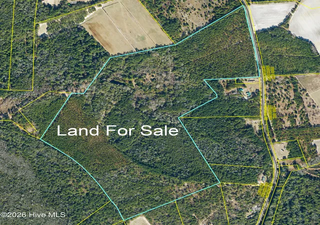 Homes for sale in White Oak, NC | 0 Live Oak Methodist Church Rd, White Oak, NC 28399 | MLS# 100588581