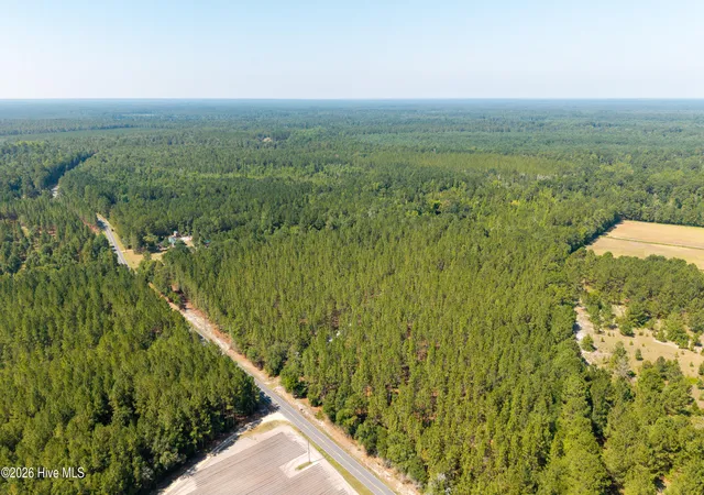 Homes for sale in White Oak, NC | 0 Live Oak Methodist Church Rd, White Oak, NC 28399 | MLS# 100588581