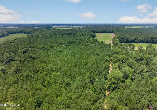 Photo 10 of Land for sale at 1 Acre Off Laura Hl Dr, Clarkton, NC 28433 | MLS# 100589942 | Listing updated on 2026-08-18