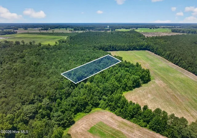 Photo 1 of Land for sale at 1 Acre Off Laura Hl Dr, Clarkton, NC 28433 | MLS# 100589942 | Listing updated on 2026-08-18