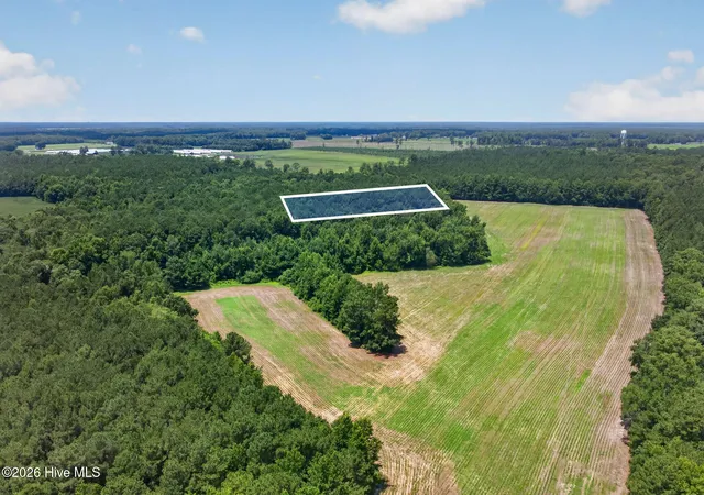 Photo 2 of Land for sale at 1 Acre Off Laura Hl Dr, Clarkton, NC 28433 | MLS# 100589942 | Listing updated on 2026-08-18