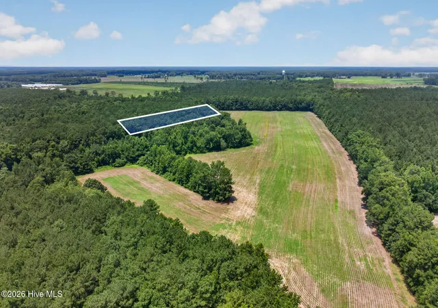 Photo 3 of Land for sale at 1 Acre Off Laura Hl Dr, Clarkton, NC 28433 | MLS# 100589942 | Listing updated on 2026-08-18