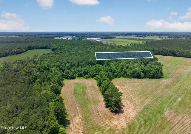 Photo 4 of Land for sale at 1 Acre Off Laura Hl Dr, Clarkton, NC 28433 | MLS# 100589942 | Listing updated on 2026-08-18