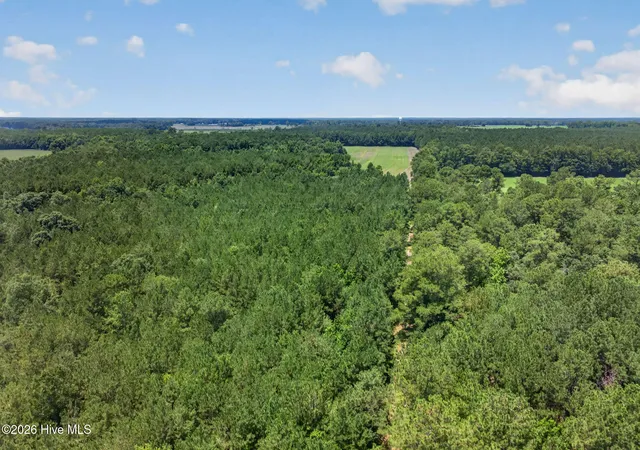 Photo 5 of Land for sale at 1 Acre Off Laura Hl Dr, Clarkton, NC 28433 | MLS# 100589942 | Listing updated on 2026-08-18