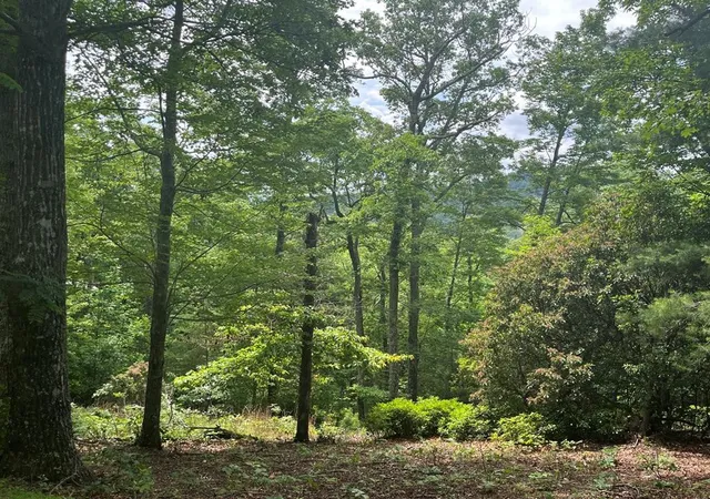 Photo 1 of Land for sale at Lot 40 Burger Rd, Murphy, NC 28906 | MLS# 98524767 | Listing updated on 2026-07-29