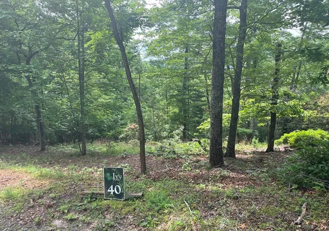 Photo 3 of Land for sale at Lot 40 Burger Rd, Murphy, NC 28906 | MLS# 98524767 | Listing updated on 2026-07-29