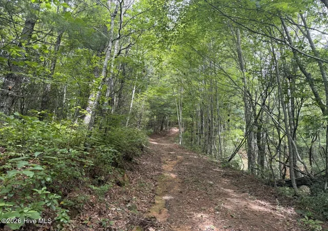 Photo 3 of Land for sale at 760 Cliff Top Trl, Andrews, NC 28901 | MLS# 100593974 | Listing updated on 2026-08-05
