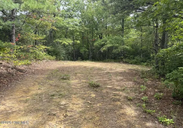 Photo 3 of Land for sale at 760 Cliff Top Trl, Andrews, NC 28901 | MLS# 100593974 | Listing updated on 2026-08-05