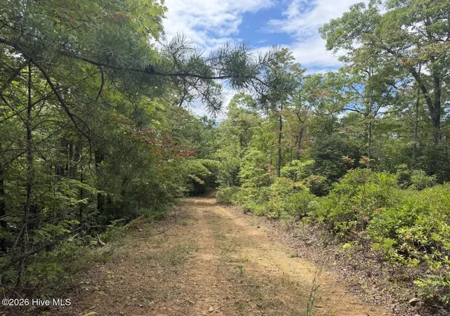 Photo 4 of Land for sale at 760 Cliff Top Trl, Andrews, NC 28901 | MLS# 100593974 | Listing updated on 2026-08-05