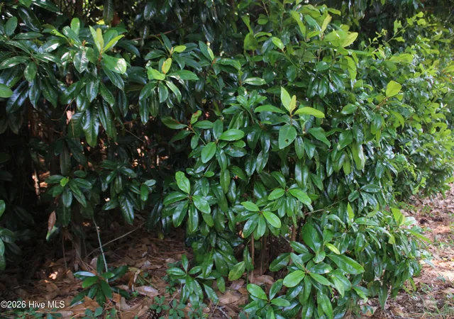 Photo 1 of Land for sale at Lot 20 Grant Dr, Goldsboro, NC 27534 | MLS# 100584469 | Listing updated on 2026-08-24