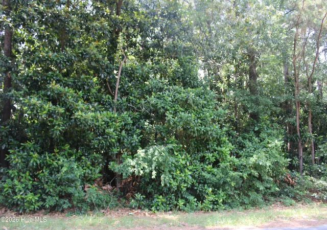 Photo 3 of Land for sale at Lot 20 Grant Dr, Goldsboro, NC 27534 | MLS# 100584469 | Listing updated on 2026-08-24
