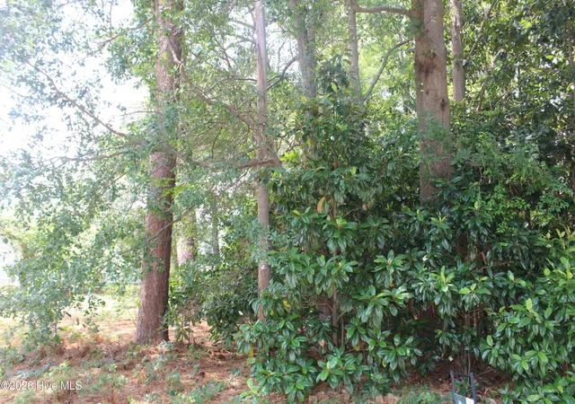 Photo 3 of Land for sale at Lot 20 Grant Dr, Goldsboro, NC 27534 | MLS# 100584469 | Listing updated on 2026-08-24