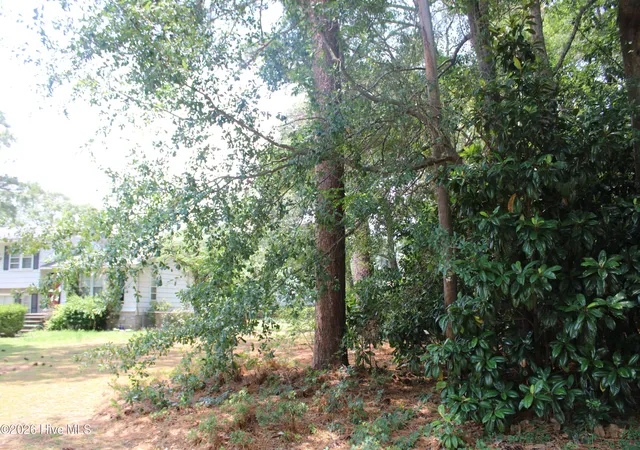 Photo 4 of Land for sale at Lot 20 Grant Dr, Goldsboro, NC 27534 | MLS# 100584469 | Listing updated on 2026-08-24