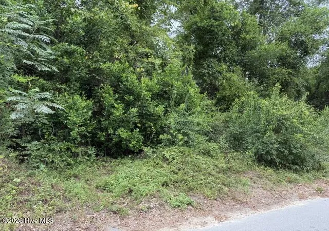 Photo 1 of Land for sale at 00 Cherry St, Beech Island, SC 29842 | MLS# 100599652 | Listing updated on 2026-09-02