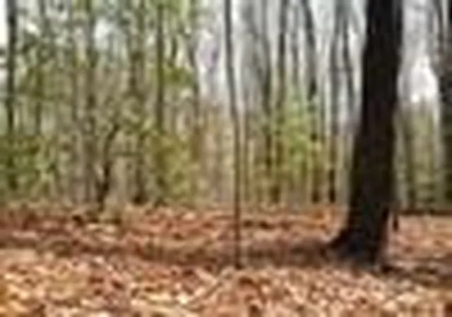 Homes for sale in Brasstown, NC | Lot 25 N Laurel Mountain Dr, Brasstown, NC 28902 | MLS# 98544652