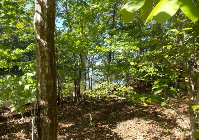 2nd image of 13 Riverview Ct, Lincolnton, GA 30817 | MLS# 98224262