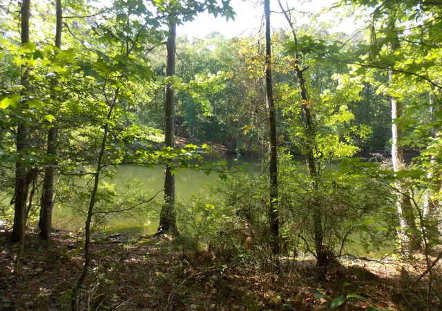 3rd image of 13 Riverview Ct, Lincolnton, GA 30817 | MLS# 98224262