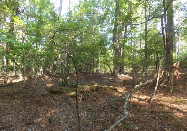 4th image of 13 Riverview Ct, Lincolnton, GA 30817 | MLS# 98224262